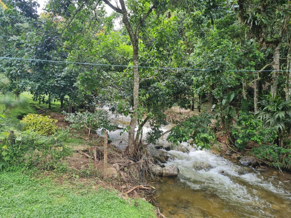 Chale Rustico Truta Da Floresta 3 Visconde De Maua Exteriör bild